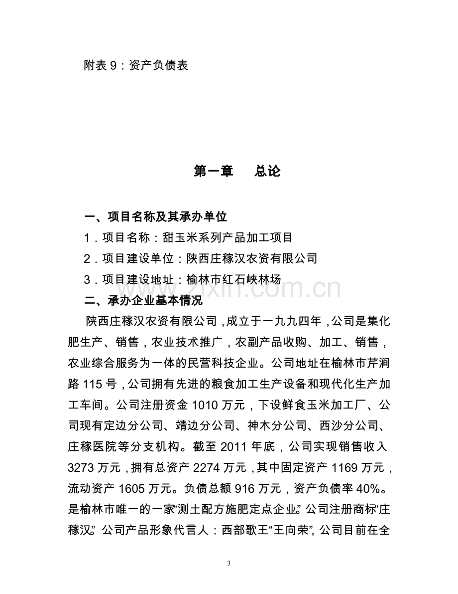 甜玉米系列产品加工项目可行性研究报告正文.doc_第3页