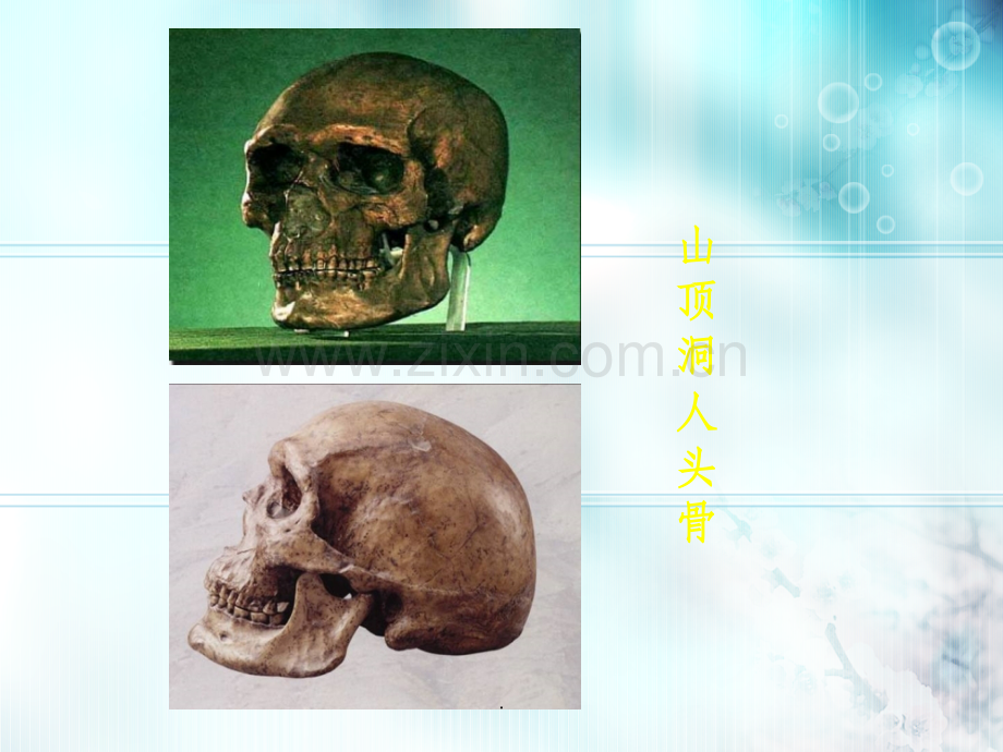 选修8Unit5-the-feast-18000BC--公开课.ppt_第3页