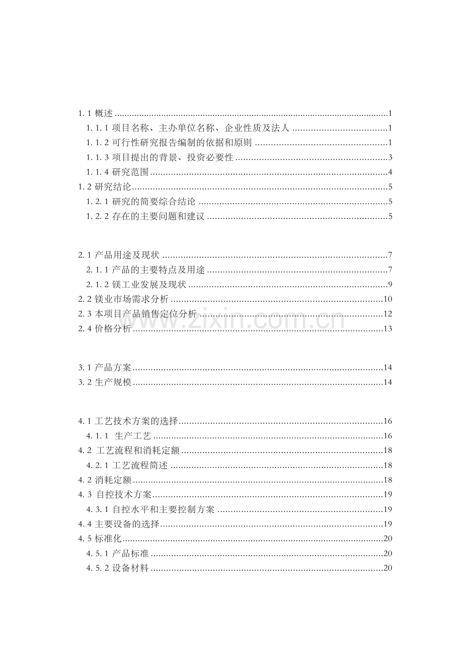 钢铁集团年产5000吨钝化镁粉项目可行性研究报告.doc_第1页