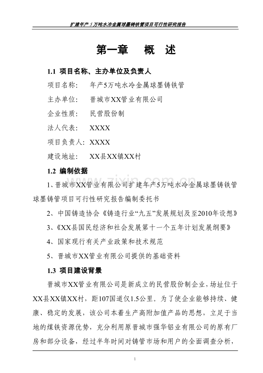 年产5万吨水冷金属球墨铸铁管项目可行性研究报告书.doc_第1页