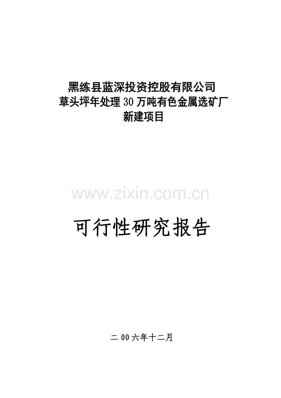 年处理30万吨有色金属选矿厂可行性论证报告.doc_第1页