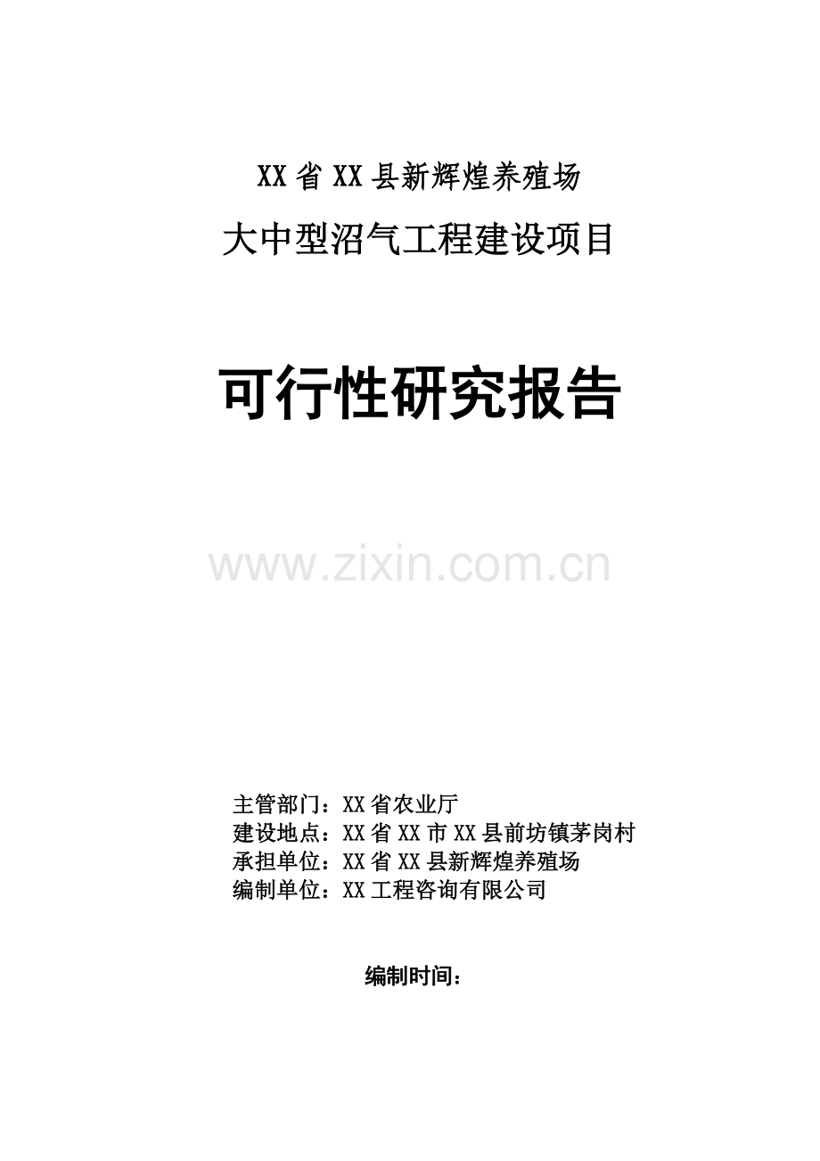 新辉煌养殖场(猪粪尿)大中型沼气工程建设项目可行性研究报告.doc_第1页