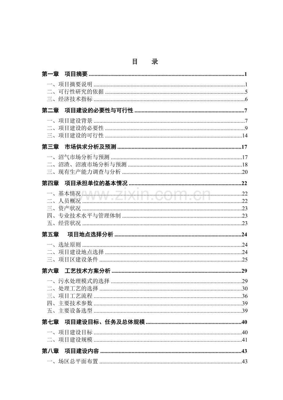 新辉煌养殖场(猪粪尿)大中型沼气工程建设项目可行性研究报告.doc_第2页