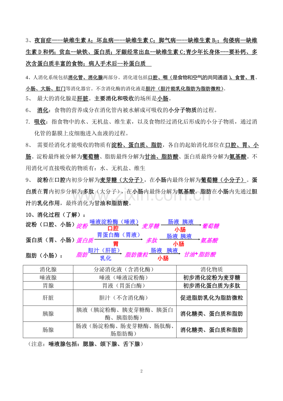 北师大版生物七年级下册知识点总结期末复习资料.doc_第2页