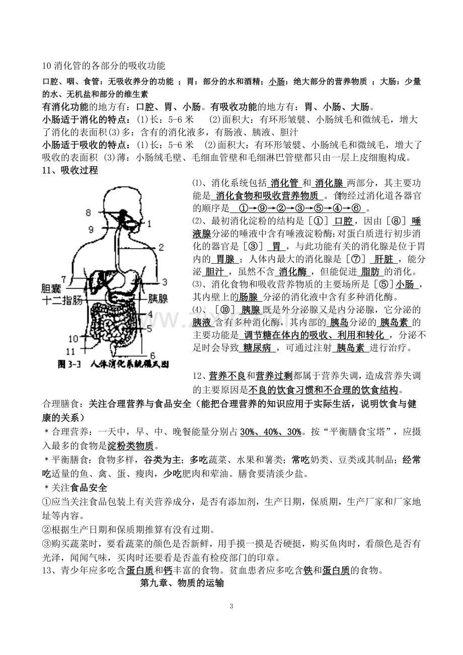 北师大版生物七年级下册知识点总结期末复习资料.doc_第3页