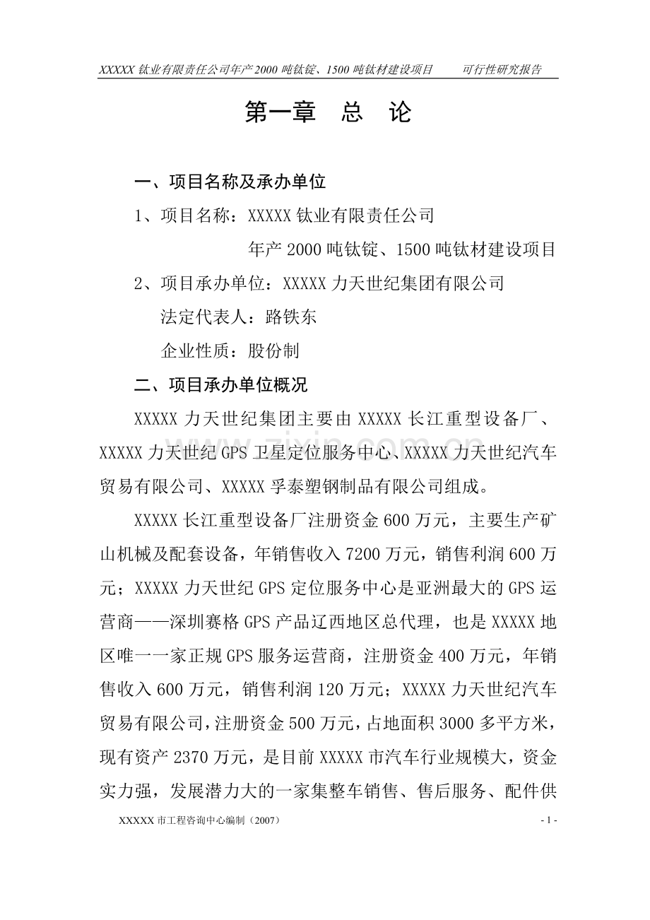 xxxxx钛业建设可行性分析报告.doc_第1页