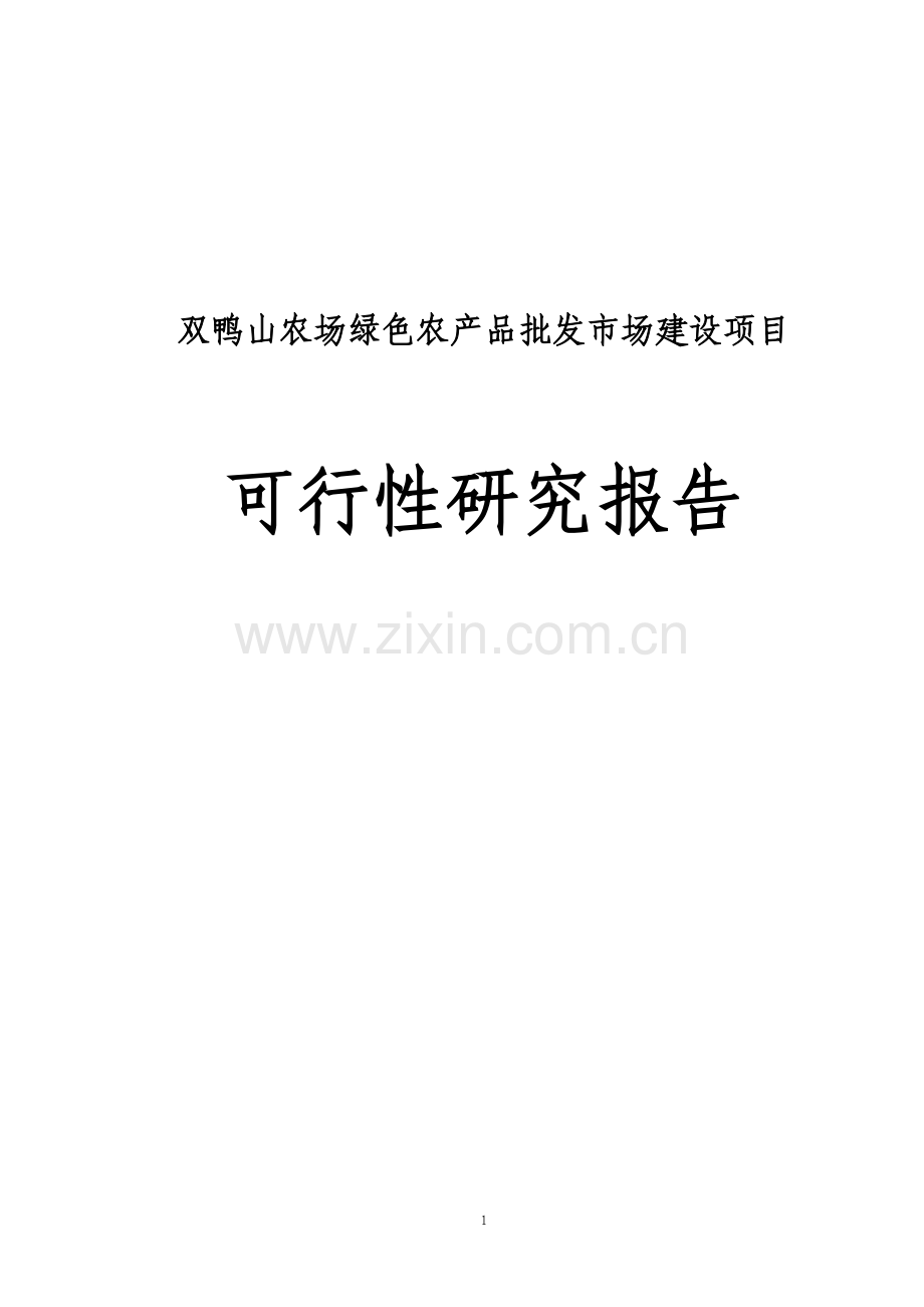 双鸭山农场绿色农产品批发市场建设项目可行性论证报告.doc_第1页