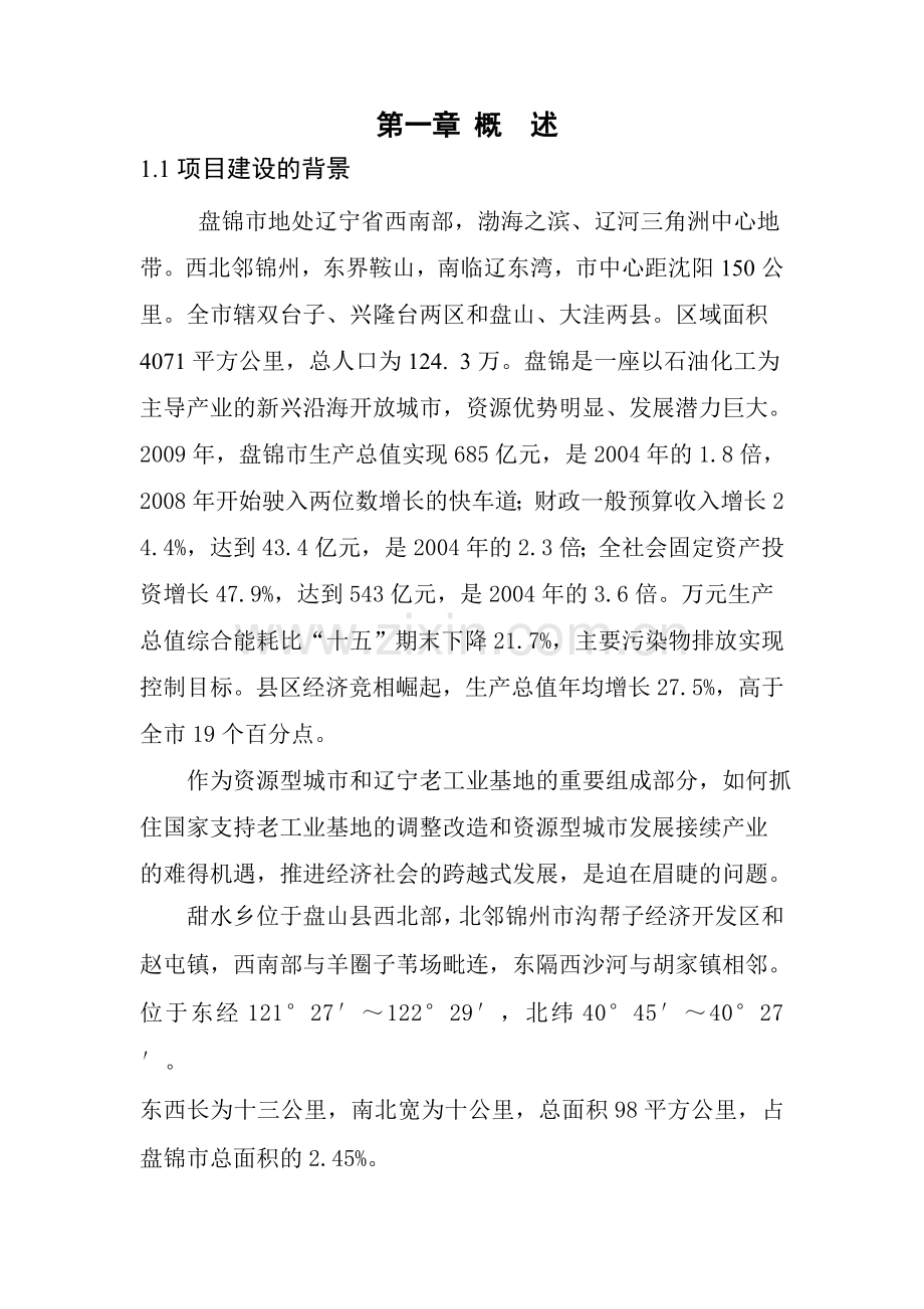 盐化工产业园区可行性论证报告.doc_第2页