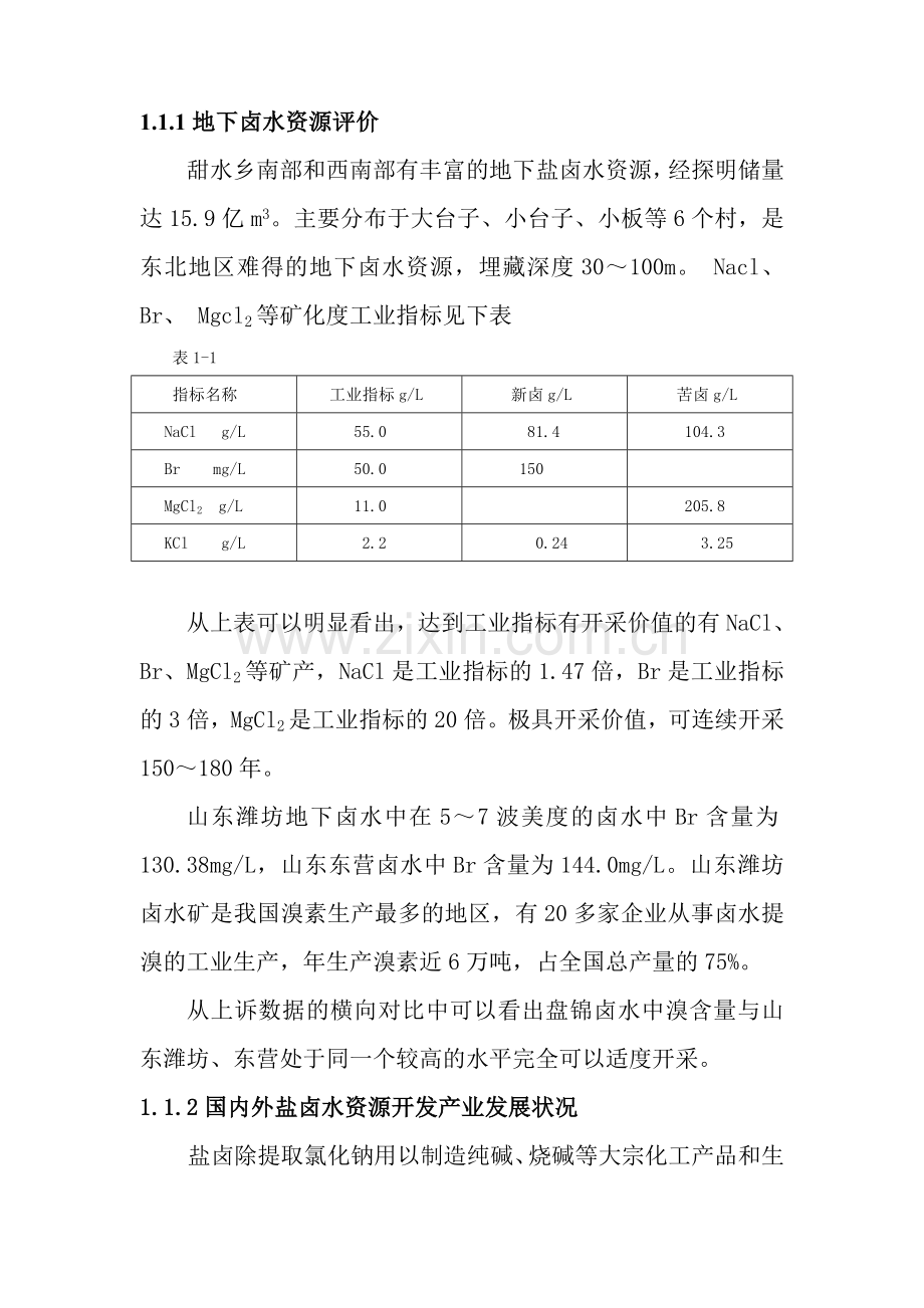 盐化工产业园区可行性论证报告.doc_第3页