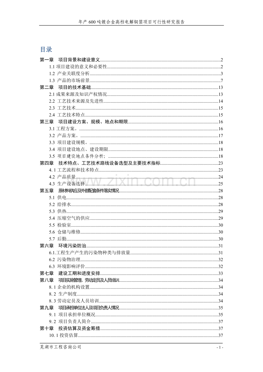 年产600吨镀合金高档电解铜箔新建项目可行性研究报告.doc_第1页