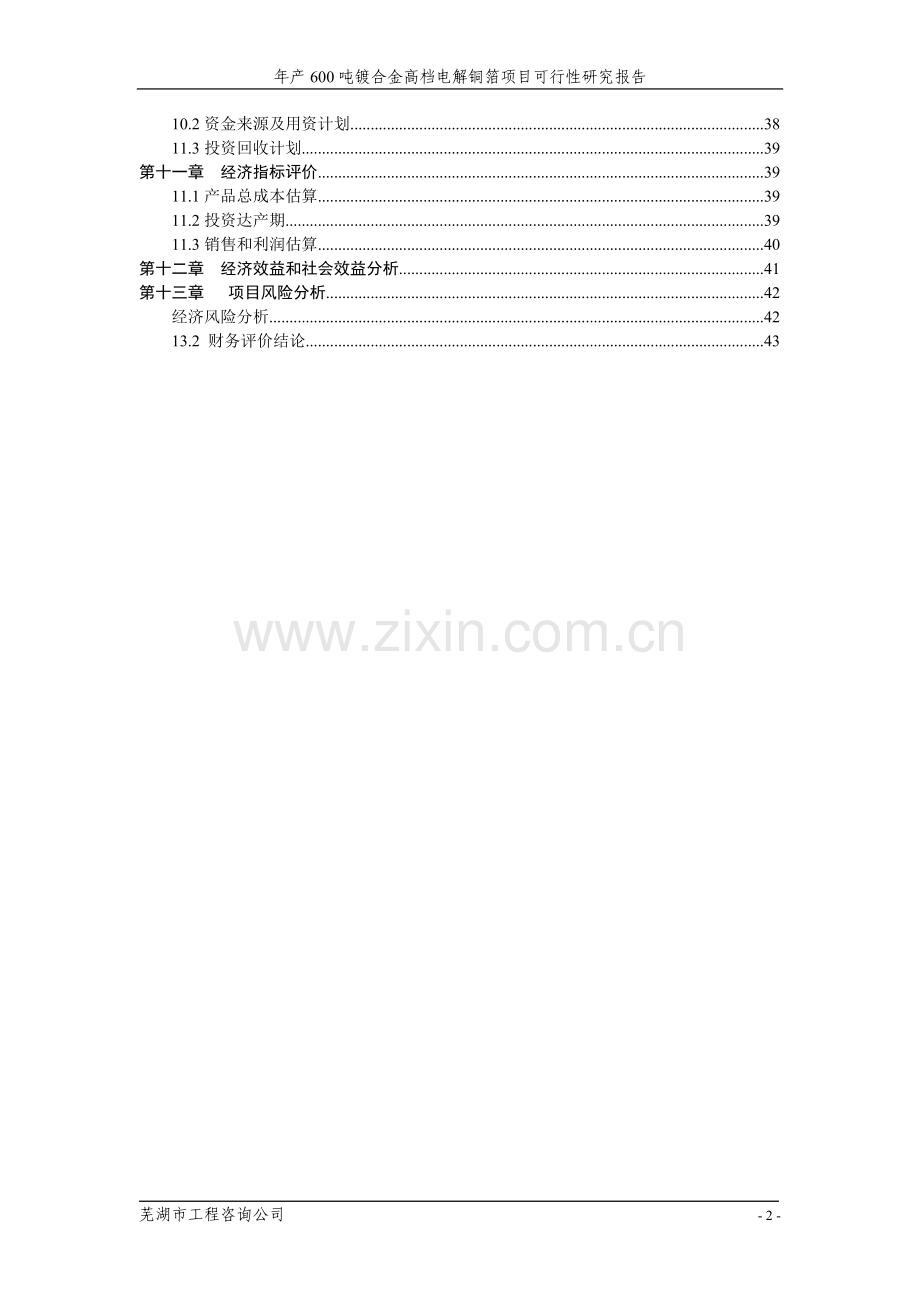 年产600吨镀合金高档电解铜箔新建项目可行性研究报告.doc_第2页