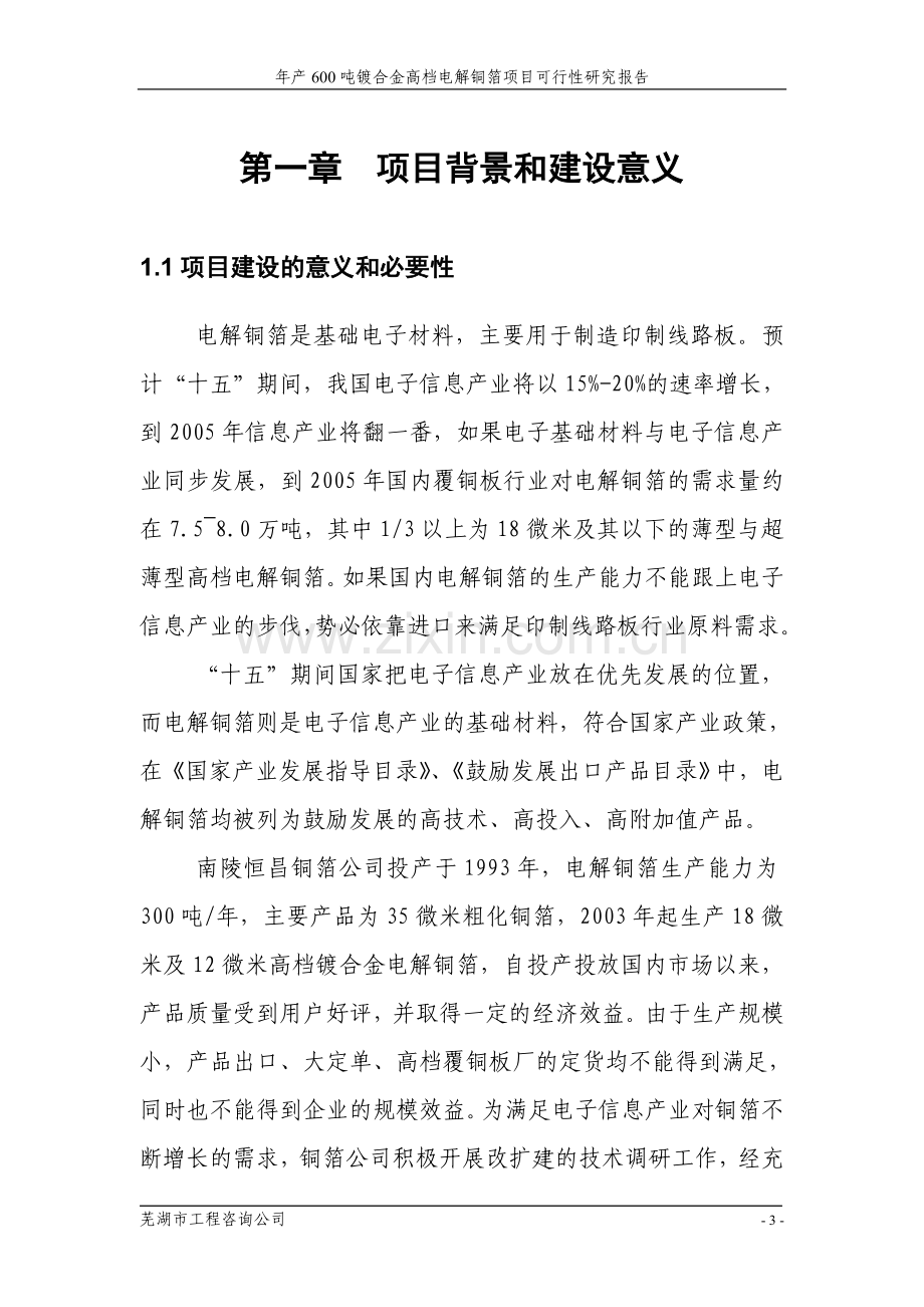 年产600吨镀合金高档电解铜箔新建项目可行性研究报告.doc_第3页