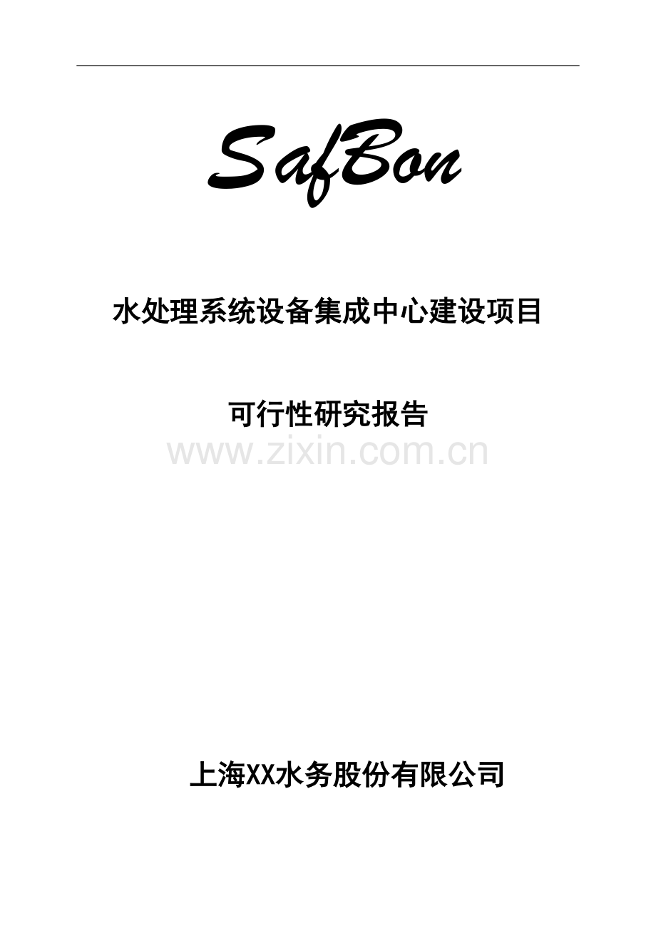 safbon水处理系统设备集成中心项目可行性研究报告.doc_第1页