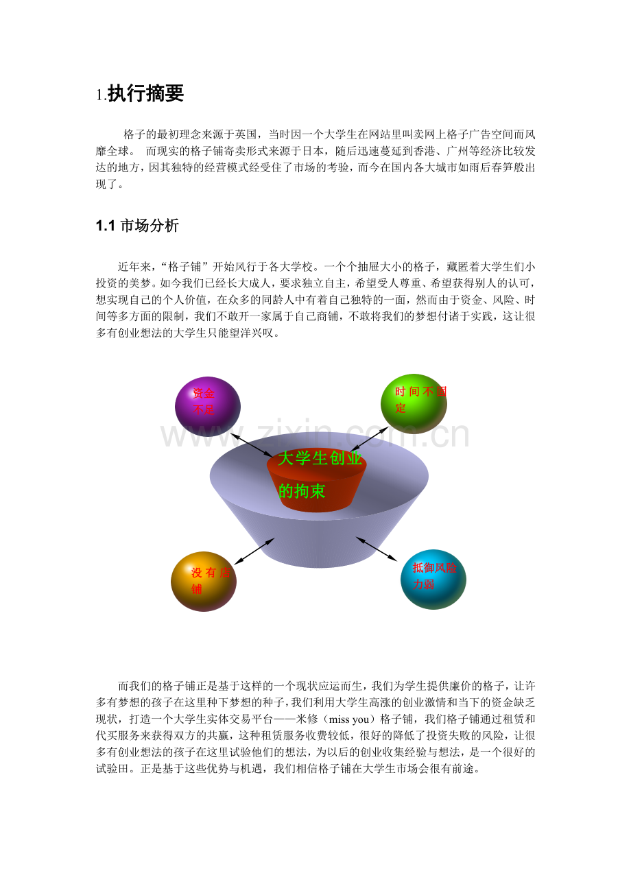 米修格子铺申请立项可研报告.doc_第2页