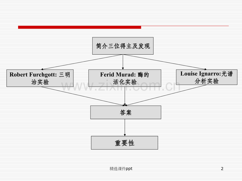 《NO诺贝尔奖》PPT课件.ppt_第2页