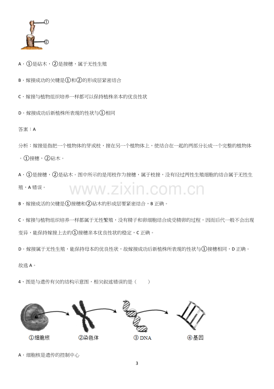 通用版初中生物八年级下册第七单元生物圈中生命的延续和发展知识总结例题-(2).docx_第3页