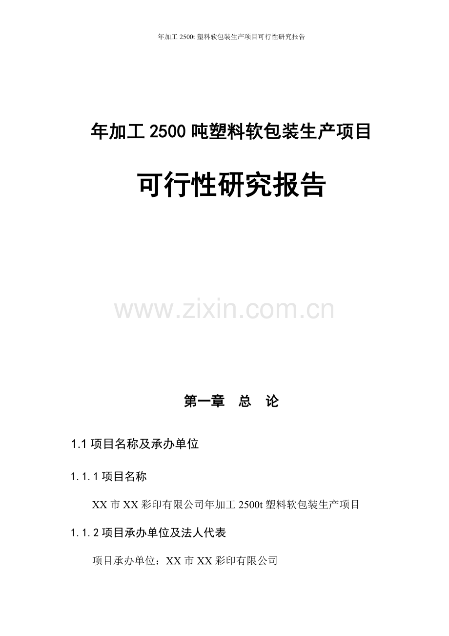 年加工2500吨塑料软包装生产项目可行性研究报告.doc_第1页