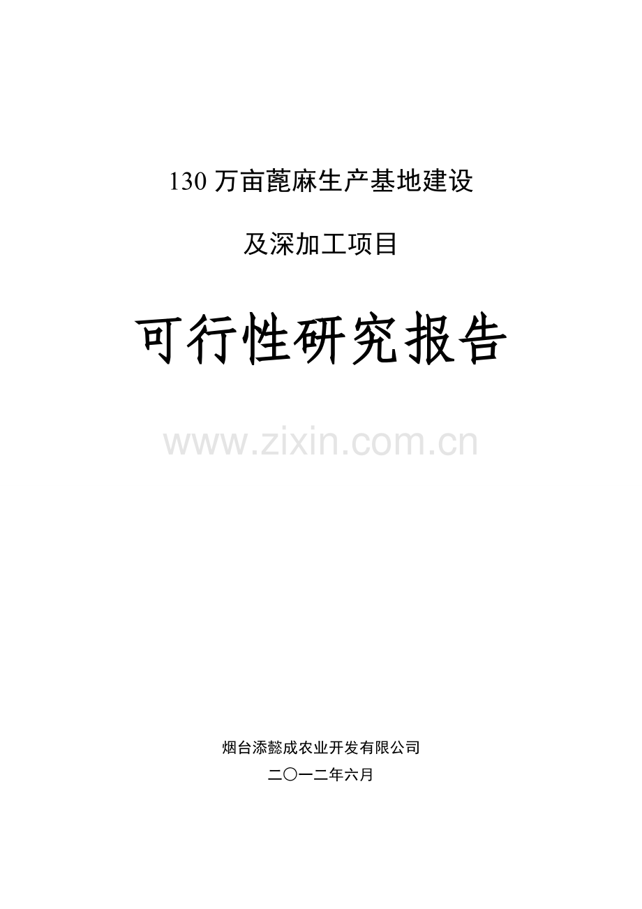 130万亩蓖麻生产基地建设及深加工项目可行性研究报告.doc_第1页