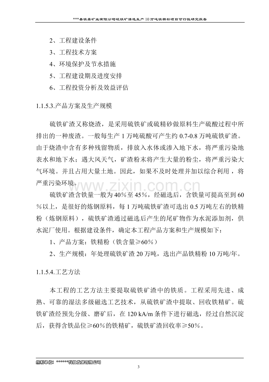 硫铁矿渣选生产10万吨铁精粉项目可行性论证报告.doc_第3页