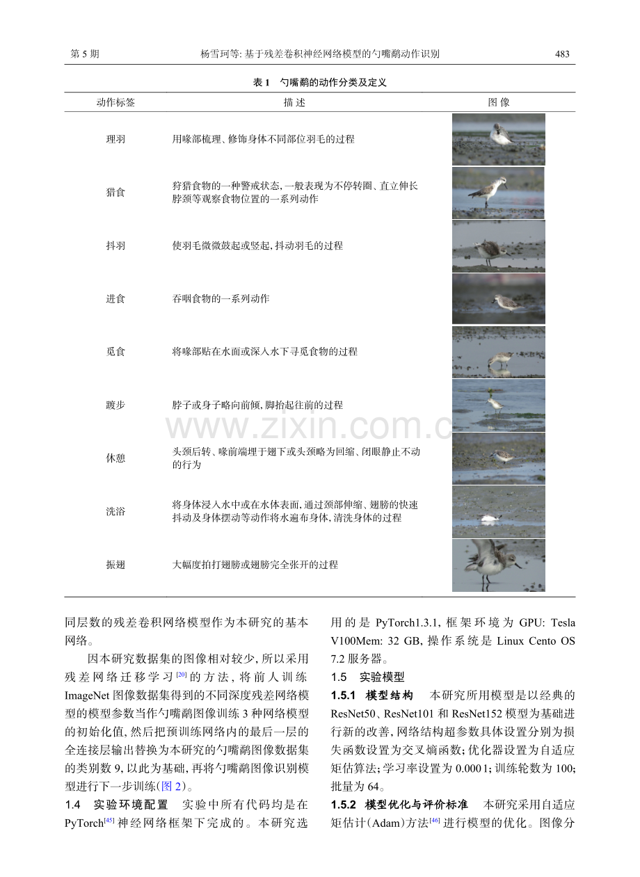 基于残差卷积神经网络模型的勺嘴鹬动作识别.pdf_第3页