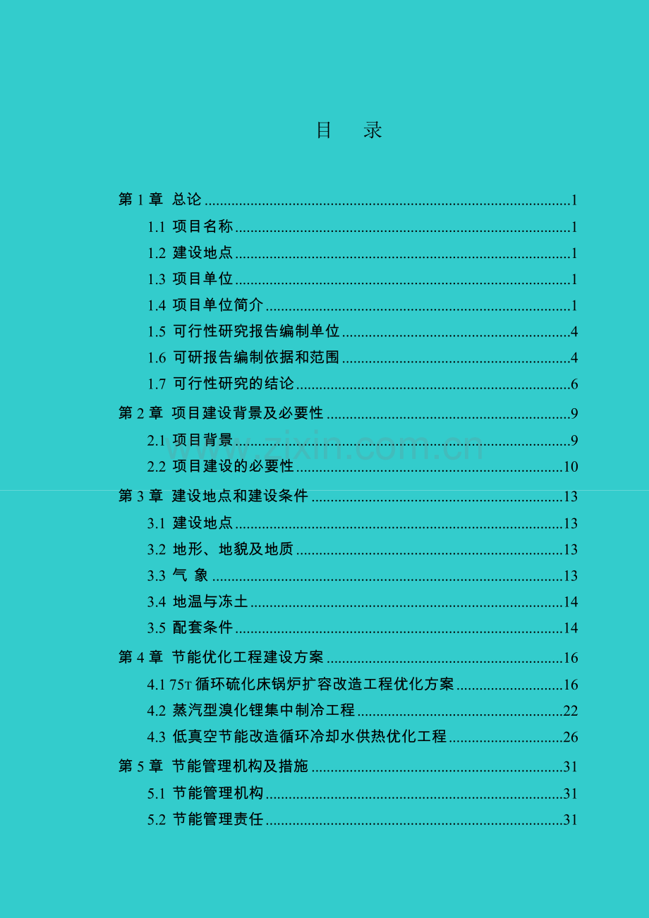 能量梯级利用系统优化项目工程建设可行性研究报告.doc_第3页