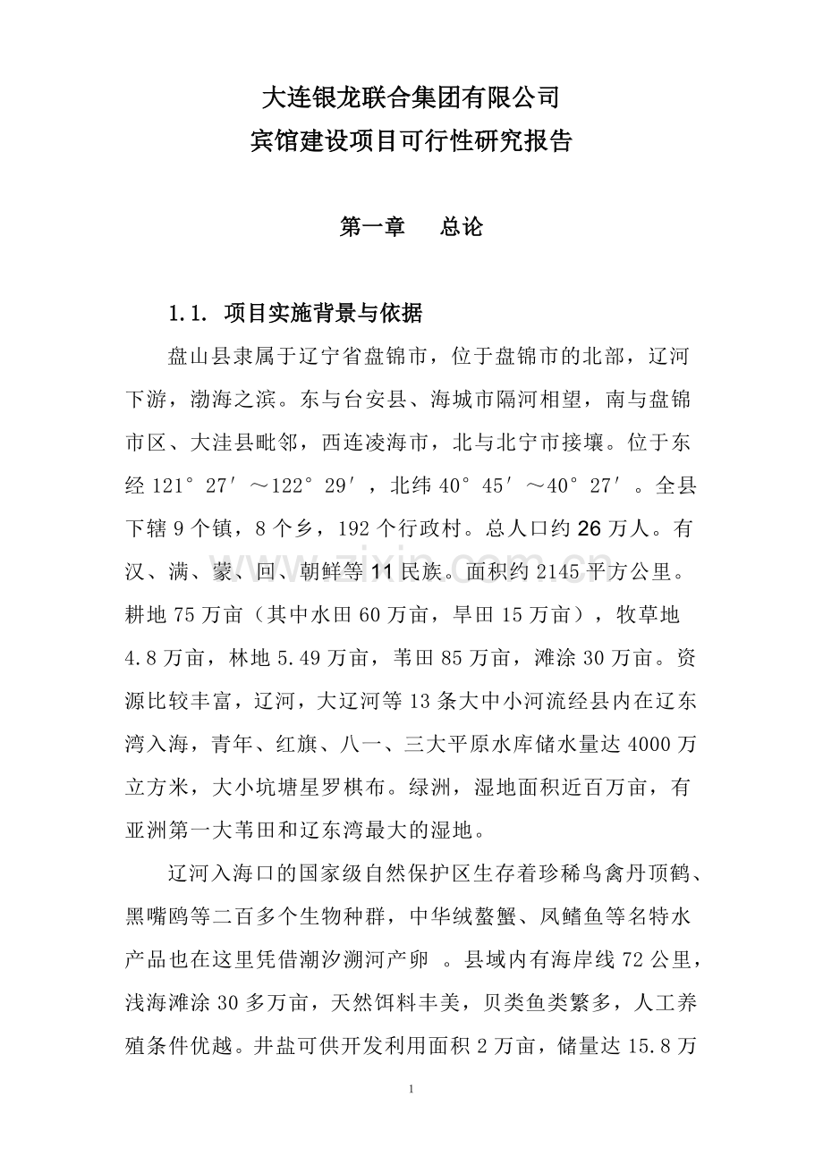 大连银龙联合集团有限公司建设可行性分析报告.doc_第1页