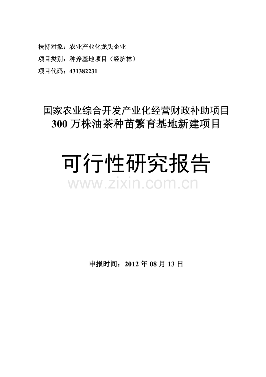 300万株油茶种苗繁育基地新建可行性论证报告.doc_第1页