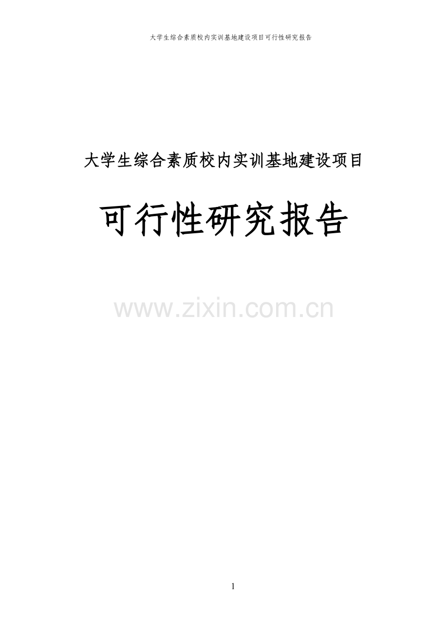 大学生综合素质校内实训基地项目可行性研究报告报审稿.doc_第1页