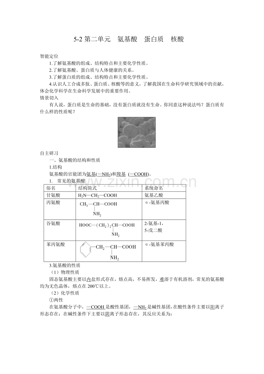 高二化学选修5(苏教版)同步导学案：5-2氨基酸蛋白质核酸.doc_第1页