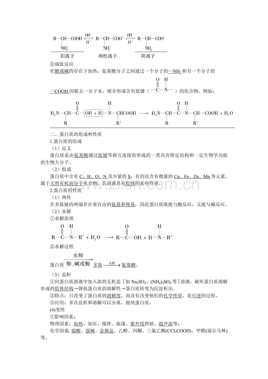 高二化学选修5(苏教版)同步导学案：5-2氨基酸蛋白质核酸.doc_第2页