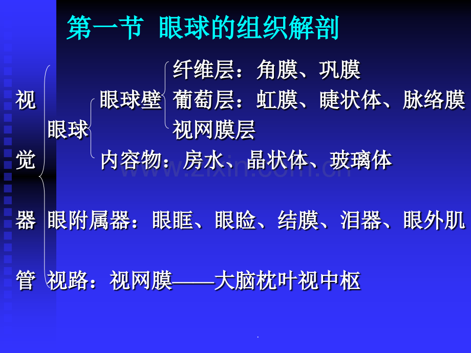 眼的解剖生理.ppt_第2页