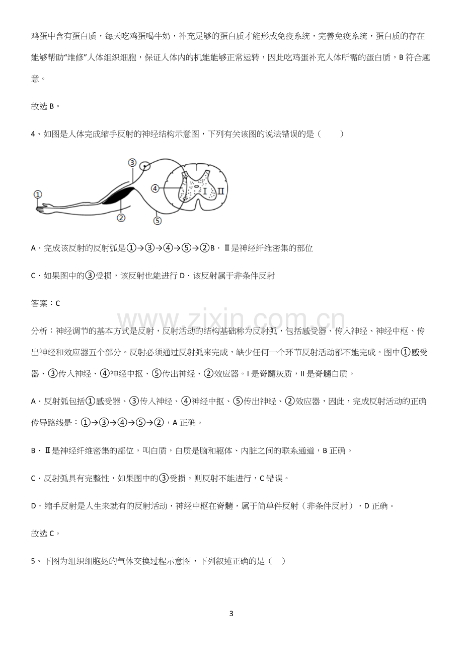 通用版初中生物七年级下册第四单元生物圈中的人考点总结-(2).docx_第3页