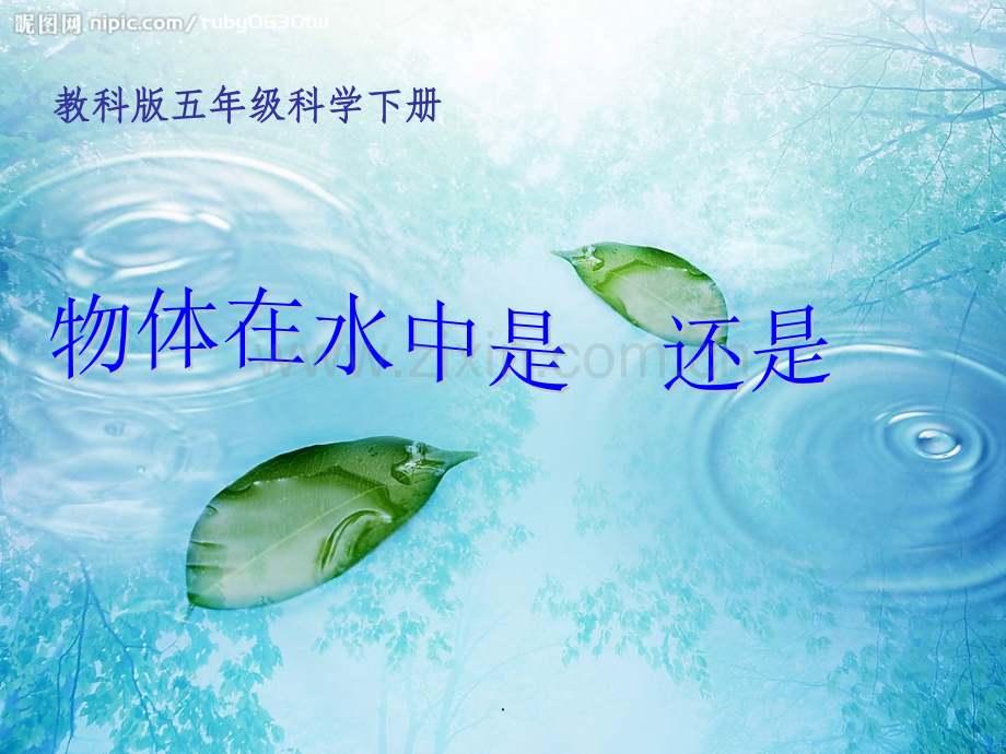 物体在水中是沉还是浮.ppt_第2页