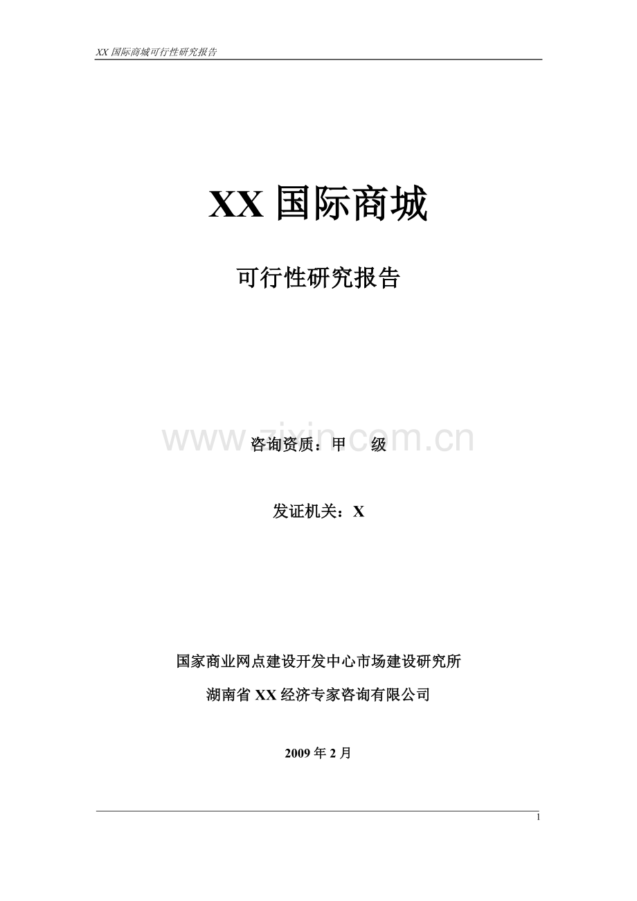 长沙x国际商城可行性论证报告.doc_第1页