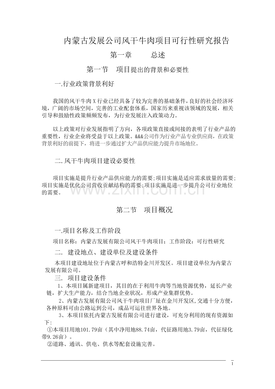 内蒙古某公司风干牛肉可行性策划书.doc_第1页