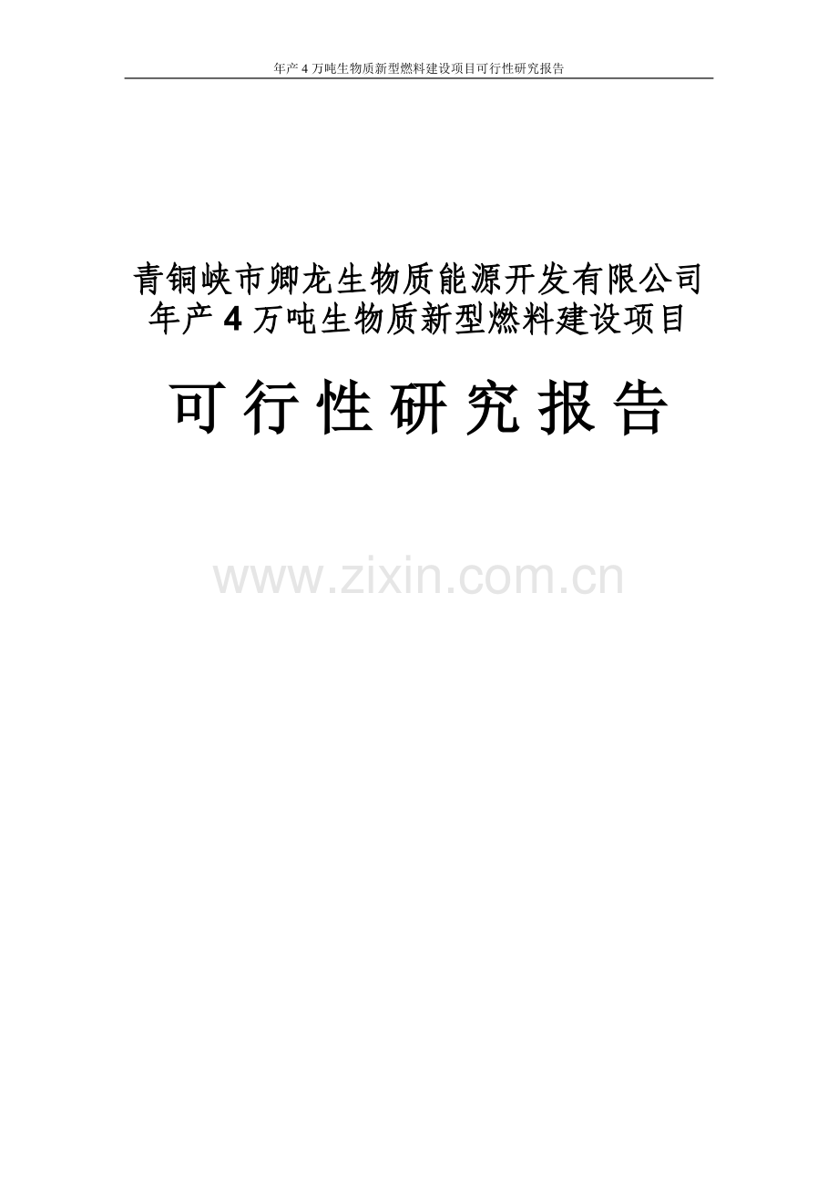 年产4万吨生物质新型燃料项目可行性研究报告.doc_第1页