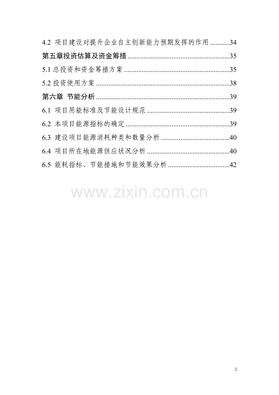 淀粉股份有限公司技术创新能力可行性论证报告.doc_第2页