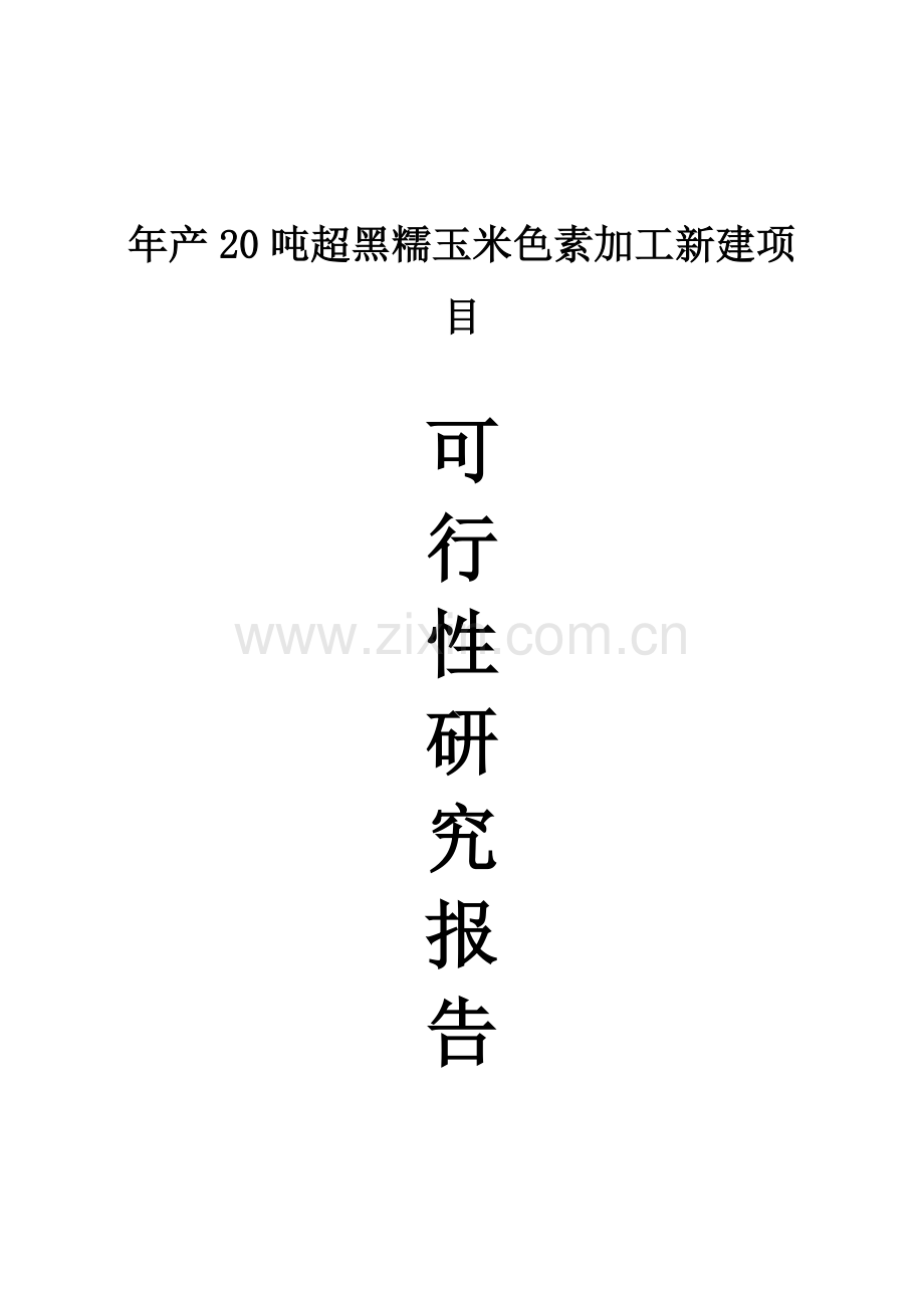 年产20吨超黑糯玉米色素加工新建项目可行性研究报告.doc_第1页