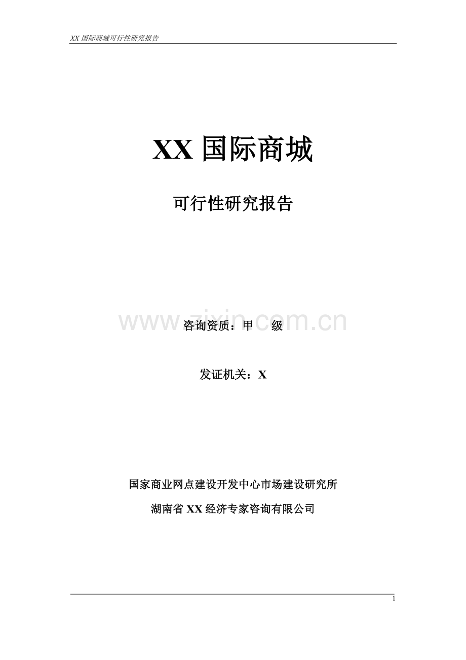 长沙x国际商城投资可行性研究报告.doc_第1页