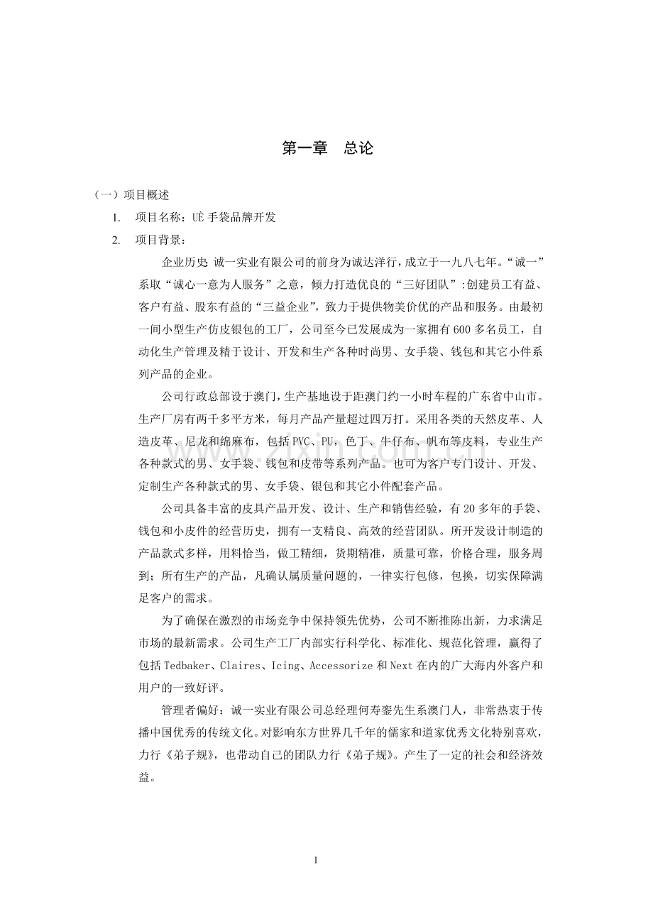 uè手袋品牌开发项目申请立项可行性研究论证报告.doc_第1页