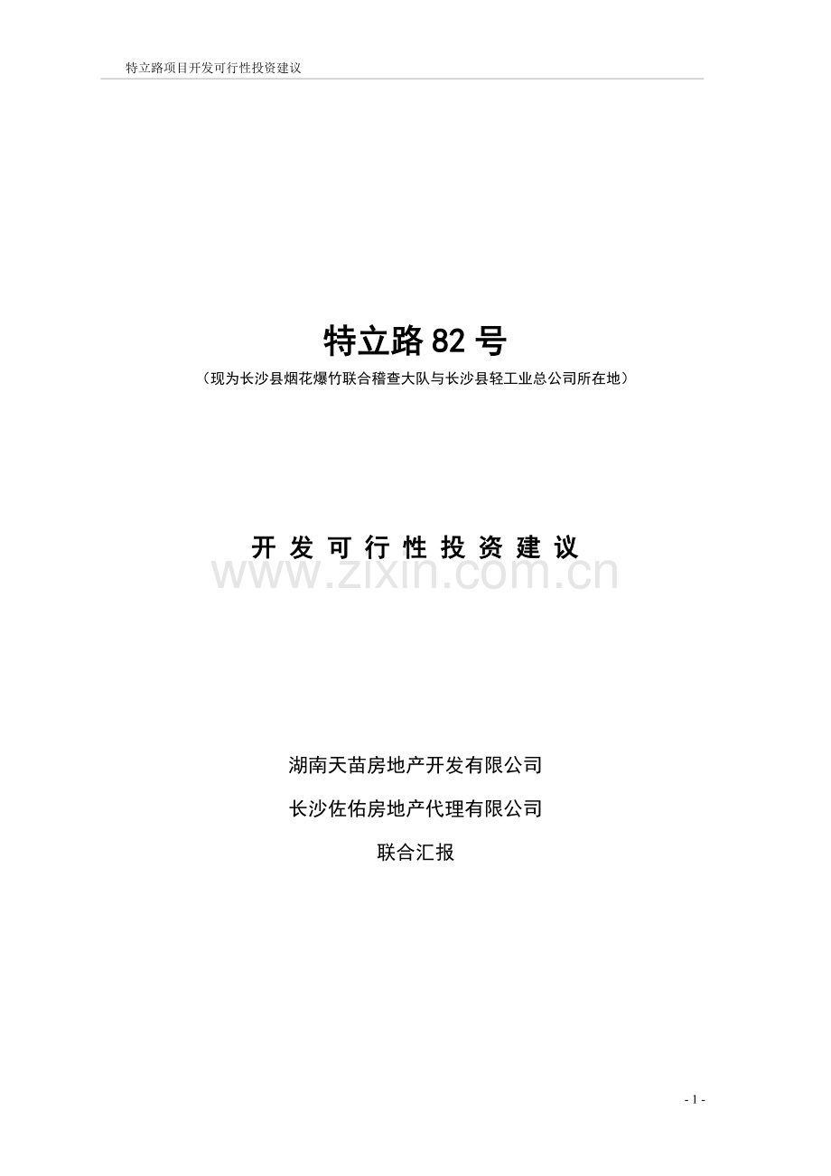 特立路项目可行性分析报告.doc_第1页