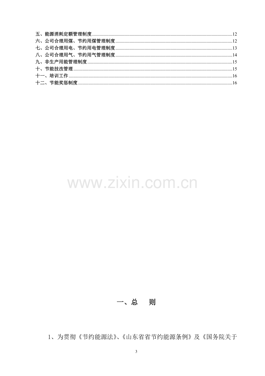 化工企业新材料有限公司节能管理制度.doc_第3页