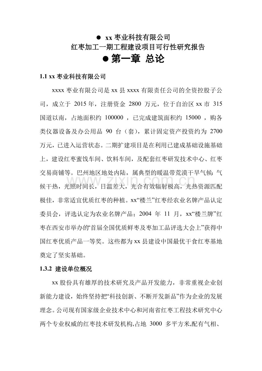 红枣加工一期工程可行性分析报告.doc_第1页