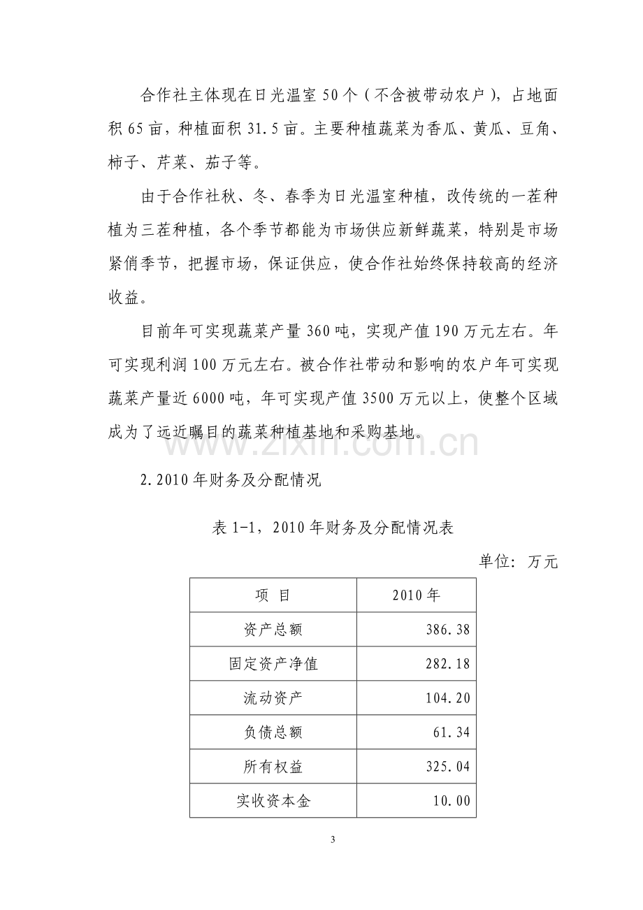 孔家蔬菜可行性分析报告.doc_第3页