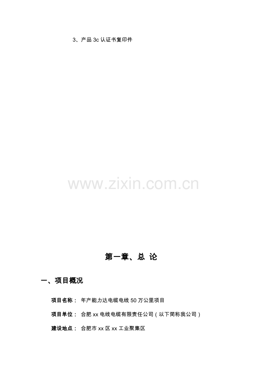 年产电线电缆50万公里生产建设项目可行性论证报告.doc_第3页