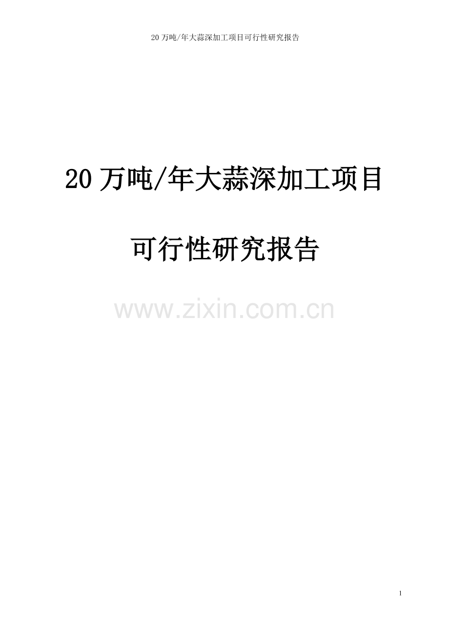 20万吨年紫皮大蒜深加工项目可行性研究报告书.doc_第1页