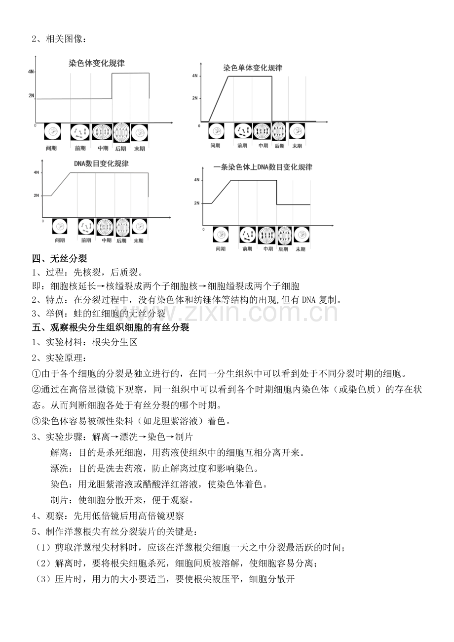 第六章第1节细胞的增殖(知识点).doc_第3页