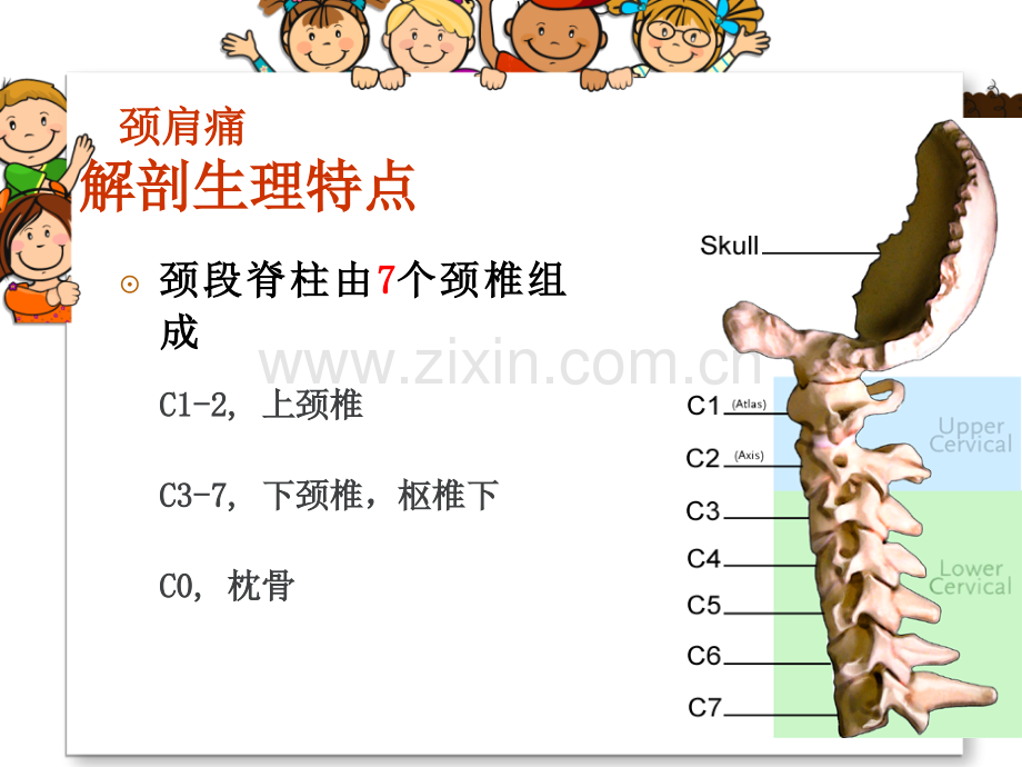 课件颈肩痛病人的护理医学PPT课件.ppt_第3页