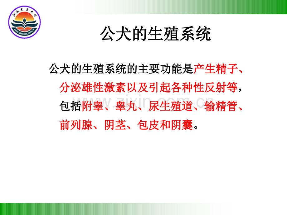 13--宠物的繁育医学PPT课件.ppt_第3页