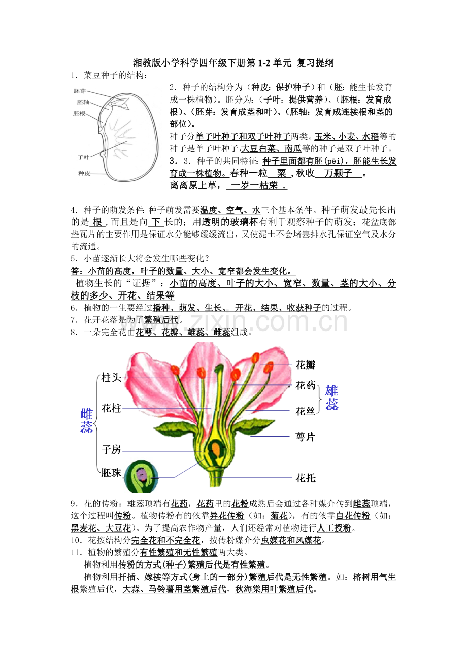 湘教版小学科学四年级下册复习提纲(有答案).doc_第1页